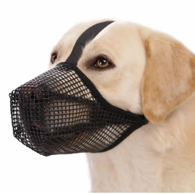 Paw Ease Mask