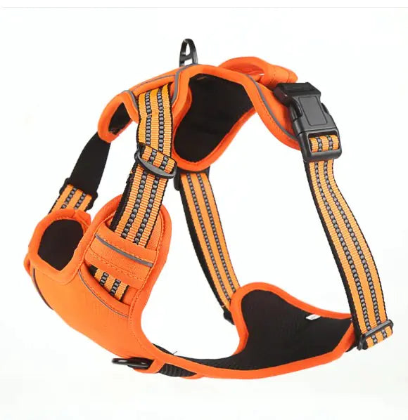 Dog Harness