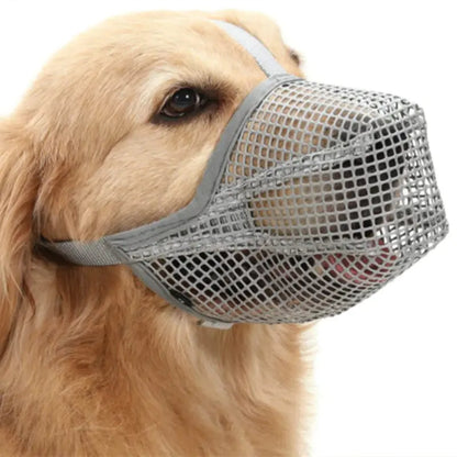 Paw Ease Mask
