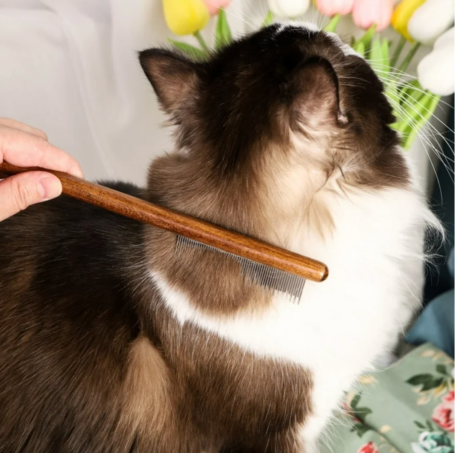 Luxury Wooden Pet Comb