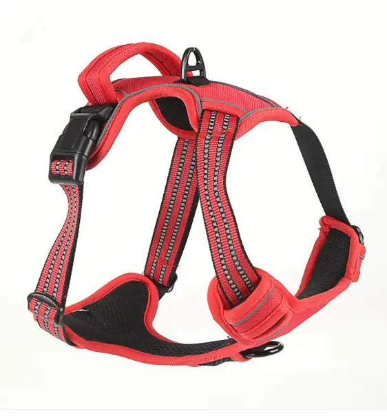 Dog Harness