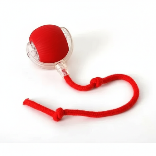 High Quality Red Pet Toy