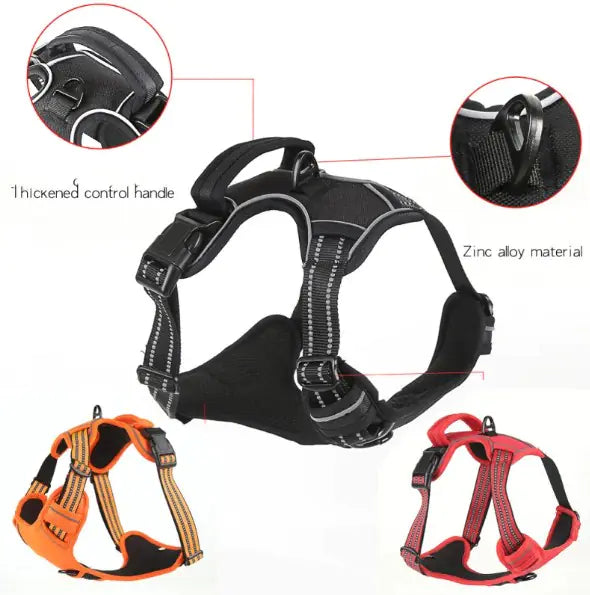 Dog Harness