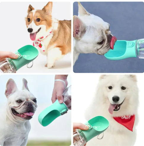 Pet Portable Water Cup