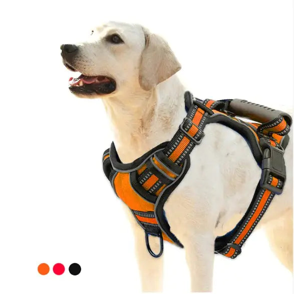 Dog Harness